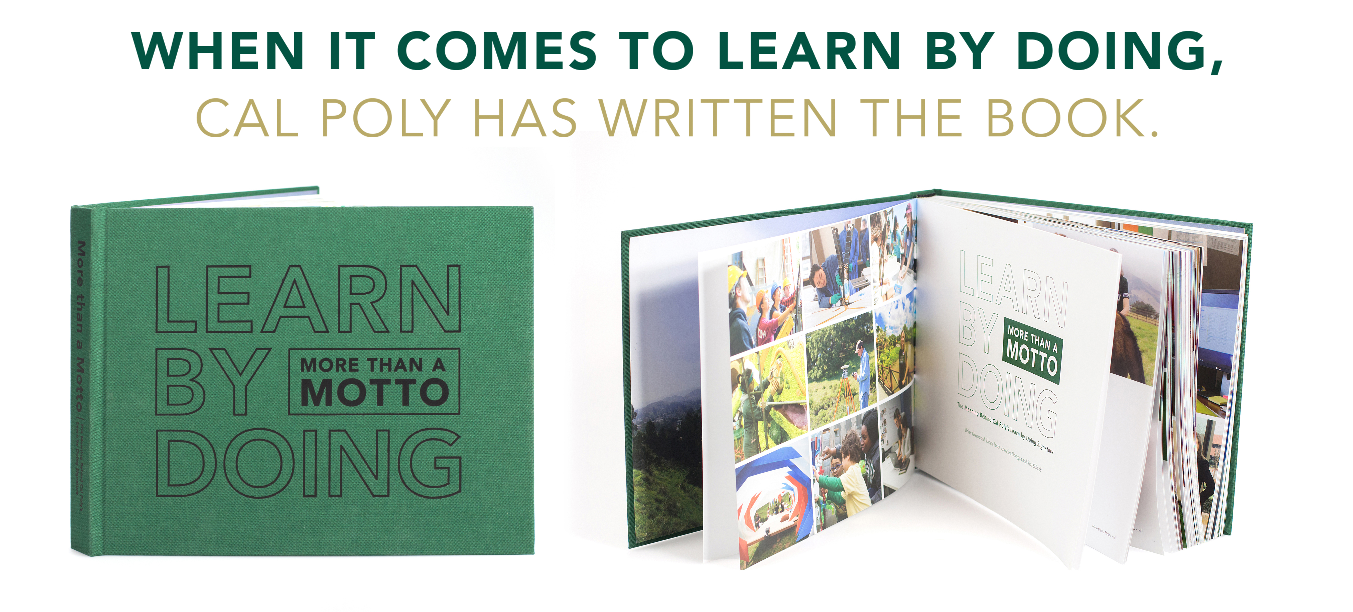 7 Things Every Cal Poly Freshman Should Know Her Campus